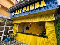 Sly Panda - Cooch Behar