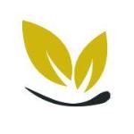 Derma Magnetica Clinic - Jaipur