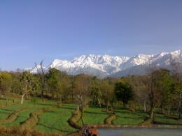 Palampur