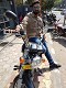 arif85