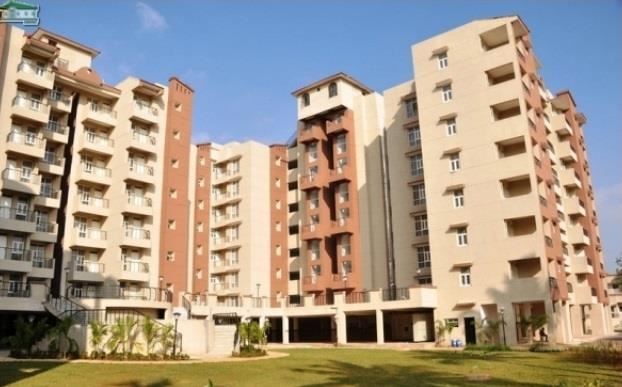 AWHO - Delhi Image