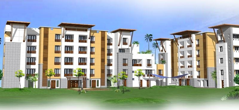 Vijay Rain Tree - Alwarpet - Chennai Image
