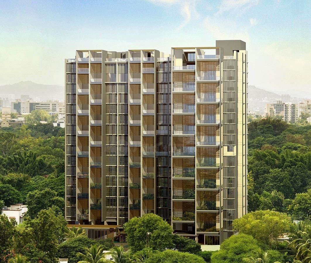 Marvel Basilo - Koregaon Park - Pune Image